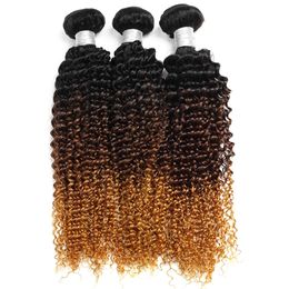 buy hair wholesale Australia - Ombre Human Hair Bundles Brazilian Hair Kinky Curly 1b 4 30 Human Weave Bundles Can Buy 3 Bundles 3 Tone Non Remy Hair Extensions