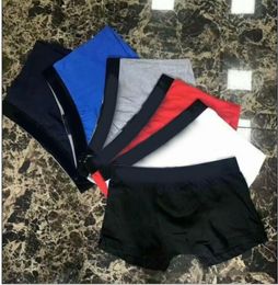 NEW arrival Fashion Luxury Mens Sexy Boxer Brand Mens Underpants Casual Mens Briefs Homme Underwear