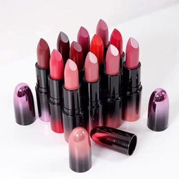 HOT New Top quality Matte Lipstick Lipgloss Lipgloss 13Colors With English Name By Epacket