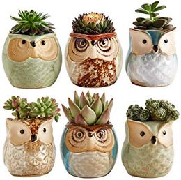 Owl Pot Ceramic Flowing Glaze Base Succulent Plant Pots Cactus Flower Bed Container Planter Bonsai Pots with A Hole Perfect Vase