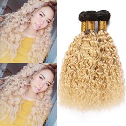 Blonde Ombre Wet and Wavy Human Hair Bundles #1B 613 Dark Roots Brazilian Virgin Hair Weaves Water Wave Hair Extensions Double Wefts