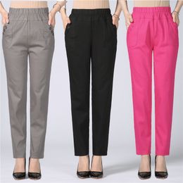 ladies pants online