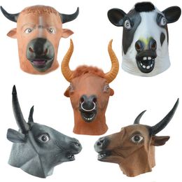 Decorative Animal Heads Nz Buy New Decorative Animal Heads