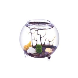 -Mini Aquarium Kit - 4 Zoll Fuß Terrarium mit 2 "Top Öffnung Marimo Kugeln und Hairstons Crystal Tabletop Herzstück für Living Home Deco
