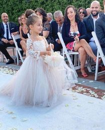 2020 Blush Flower Girl Dresses For Weddings Ball Gown Long Sleeves Tulle Lace Bow Long First Communion Dresses Little Girl