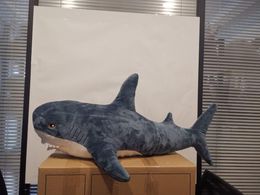 shark plush toy australia