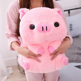pig dolls online
