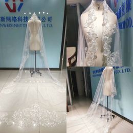 2020 One Layer Wedding Veils 3 Metres Long Cathedral Length Lace Appliqued Real Image Tulle Bridal Veil With Free Comb