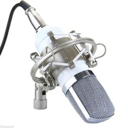 Studio Recording Condenser Microphone with Shock Mount Holder Clip for Broadcasting Voice-Over Sound,Gaming and Video Chat BM 700