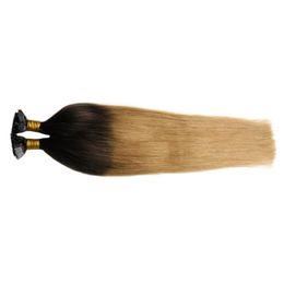 Hot T6/27 Brown And Blonde Ombre Malaysian Straight Virgin Hair 100g Two tone ombre Pre Bonded keratin Nail F TIP Human Hair Extensions