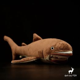 shark toys canada