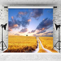 field walkway portrait photography background for child baby shower portrait backdrop photo shoot photophone
