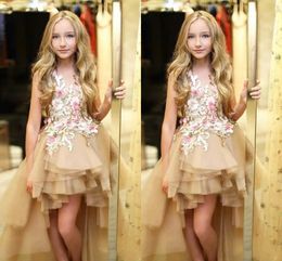 2024 New Cheap Champagne Pageant Dresses Princess High Low Lace 3D Appliques Tulle Sleeveless Kids Flower Girls Dress Birthday Gowns 403