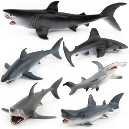 shark toys nz
