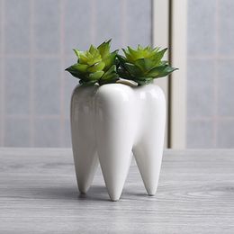 -Dentes moldar cerâmica pot suculenta plantador de mini-branco bonito jardim decoração com flores para escritório interior decoração da mesa