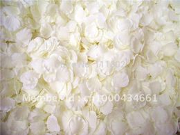 Ivory artificial silk rose petals,simulation fabric flower petal,wedding party decoration,arrangement,4000pcs/lot ,free shipping