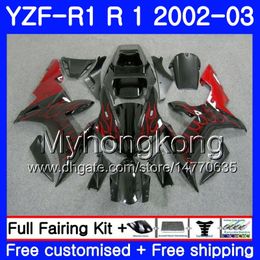 Bodys Red flames stock For YAMAHA YZF R 1 YZF 1000 YZF-1000 YZFR1 02 03 Bodywork 237HM.5 YZF R1 02 YZF1000 YZF-R1 2002 2003 Fairing Frame