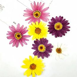 120pcs Pressed Press Dried Marguerite de Valois Flower Plants For Epoxy Resin Pendant Necklace Jewelry Making Craft DIY Accessories
