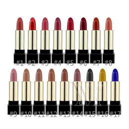 100pcs Private Label Matte Lipstick Makeup Lustre Retro Lipsticks Frost Sexy Lipsticks 7g 17 Colours Lipstick Natural Long Lasting Cosmetics