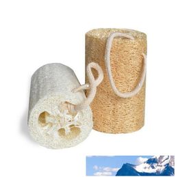 Natural Loofah Luffa Sponge with Loofah For Body Remove The Dead Skin And Kitchen Tool EEA1341