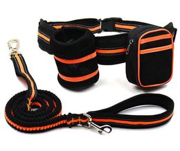 hot sale pet traction set reflective elastic traction rope dog extension rope plus snack pack orange nylon traction set in stock