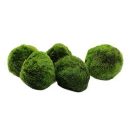 5pcs Marimo Moss Ball Aquarium Plants Terrarium Cladophora Ball Fish Tank Ornaments262c