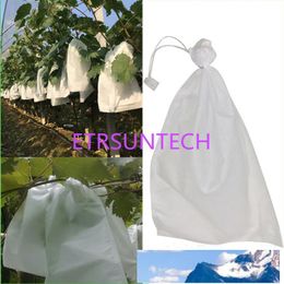 1000pcs/lot grape bag Anti-bird Moisture Pest control fruit protection bags tela mosquito bag of grapes nanch porta bustine LX0245