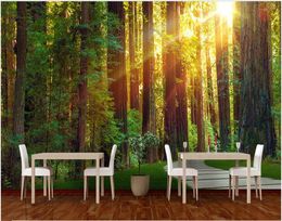 Custom photo wallpapers for walls 3d mural wallpaper Forest big tree sunshine pastoral scenery living room sofa background wall mural decor