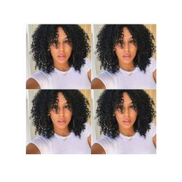 new hot hairstyle women Malaysian Hair African Americ afro kinky curly natural wig Simulation Human Hair afro kinky curly wig