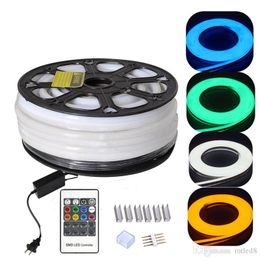 220V 110V Flex LED Neon Rope Light RGB 25m 50m 100m Indoor Outdoor for Holiday Party Valentine Decor Blue Yellow White by DHL