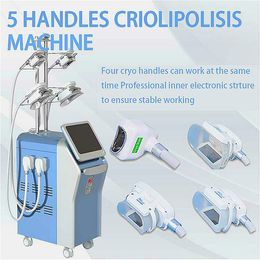 5 Cryo Handles Cryolipolyse Machine Fat Freeze Slimming Cryolipolysis Equipment With 360°Double Chins Treatment Handle For Sale