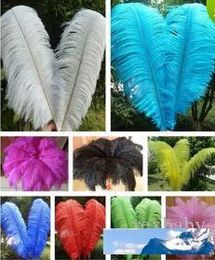 ostrich feathers wholesale canada