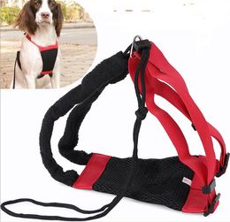 new product simple pet chest strap adjustable breathable type dog chest back small medium and large pet special ultralight traction chest