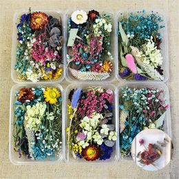 1 Box Assroetd Real Dried Flowers Pressed Leaves for Epoxy Resin Jewelry Making DIY Accessories Hot