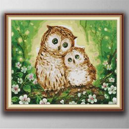 Two owls Handmade Cross Stitch Craft Tools Embroidery Needlework sets counted print on canvas DMC 14CT /11CT