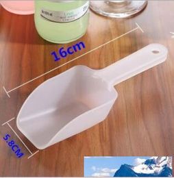 DHL 16*5.8cm Mini Acrylic Plastic Kitchen Scoops for Weddings Candy Dessert Buffet Ice Cream Protein Powders Coffee Tea spoon NT