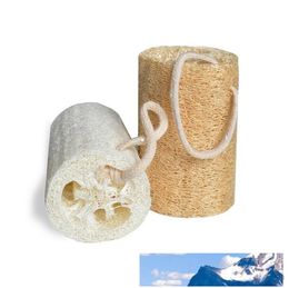 Natural Loofah Luffa Sponge with Loofah for Body Remove the Dead Skin and Kitchen Tool ELBA016