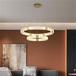 Modern LED light guide ring pendant lamp simple living room ring pendant light hanging wire restaurant lighting circle acrylic pendant lamp