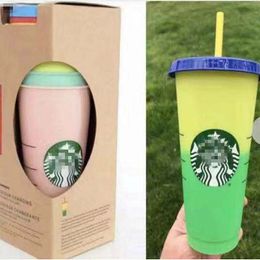 tumblers 700ml 24oz Temperature Color Magic Cup Reusable Coffee Mug Plastic Drinking Tumbler with Lid and Straw