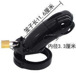 Penis Chastity Lock Bird Cage Abstinence SM Male Slave Training Supplies Sex Toys