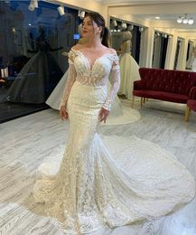 Mermaid Wedding Dresses for Girls Sheath Long Sleeves Bride Bridal Gowns Lace Appliques Beach Sheath Column Customize Made Plus Size