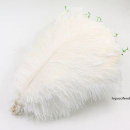 cheap ostrich feathers uk