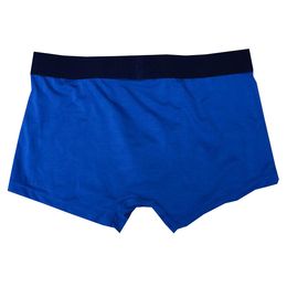 New Mens Underwear Boxer Brief Shorts Vintage Men's Vintage Cotton Sexy Cueca Boxer Soft Adult Man Gay Boxer Shorts