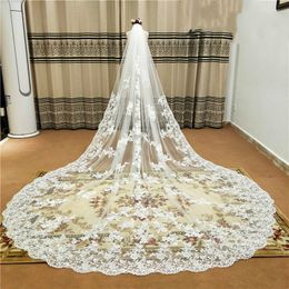 New pattern Cathedral Length Bridal Veil Lace Applique Edge Wide 1 Layer Wedding Veils Metal Comb Real Photo
