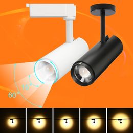 Modern 20W 30W Track Light Zoomable Adjustable Beam Angle Rail lamp Spot Zoom Exhibition Gallery Lamp Surface mount COB Spotlights