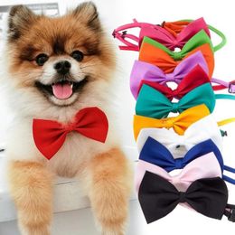 Pet headdress Dog neck tie Dog bow tie Cat tie Pet grooming Supplies Multicolor can choose LX3109