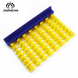 biscuit cutter online