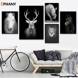 White Horse Canvas Pictures Australia New Featured White Horse Canvas Pictures At Best Prices Dhgate Australia