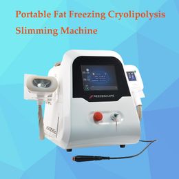 Newset quick weight loss machine best fat freeze two handles portable 4d mini chin 360 degree cryolipolysis for home use / beauty salon use