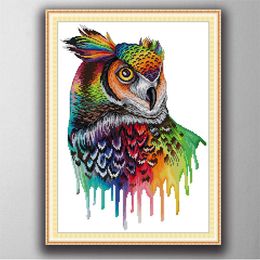 -Rainbow Owl Hecho a mano Stitch Craft Herramientas de artesanía Bordado Conjuntos de costura Contada Impresión en lienzo DMC 14CT / 11CT